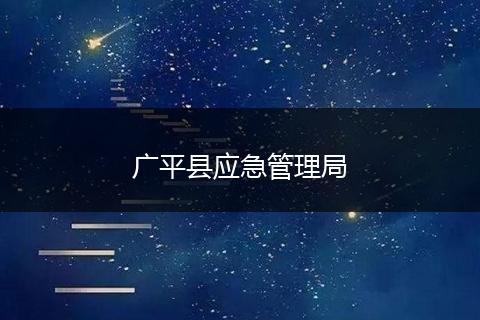广平县应急管理局
