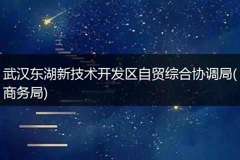 武汉东湖新技术开发区自贸综合协调局(商务局)