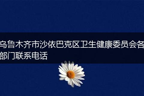 乌鲁木齐市沙依巴克区卫生健康委员会各部门联系电话
