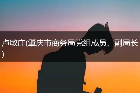 卢敏庄(肇庆市商务局党组成员、副局长)