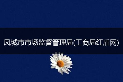 凤城市市场监督管理局(工商局红盾网)