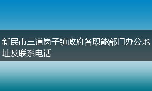 新民市三道岗子镇政府各职能部门办公地址及联系电话