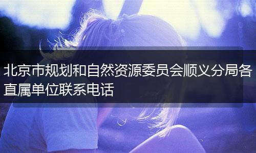 北京市规划和自然资源委员会顺义分局各直属单位联系电话