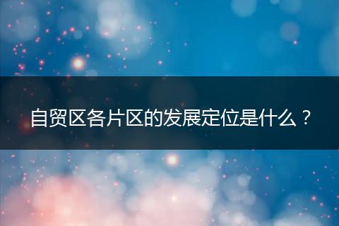 自贸区各片区的发展定位是什么?