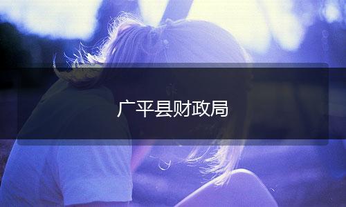广平县财政局