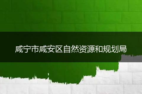 咸宁市咸安区自然资源和规划局