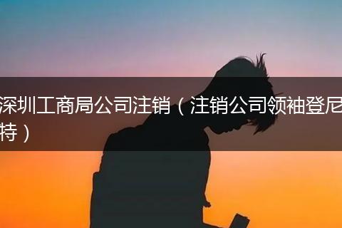 深圳工商局公司注销(注销公司领袖登尼特)